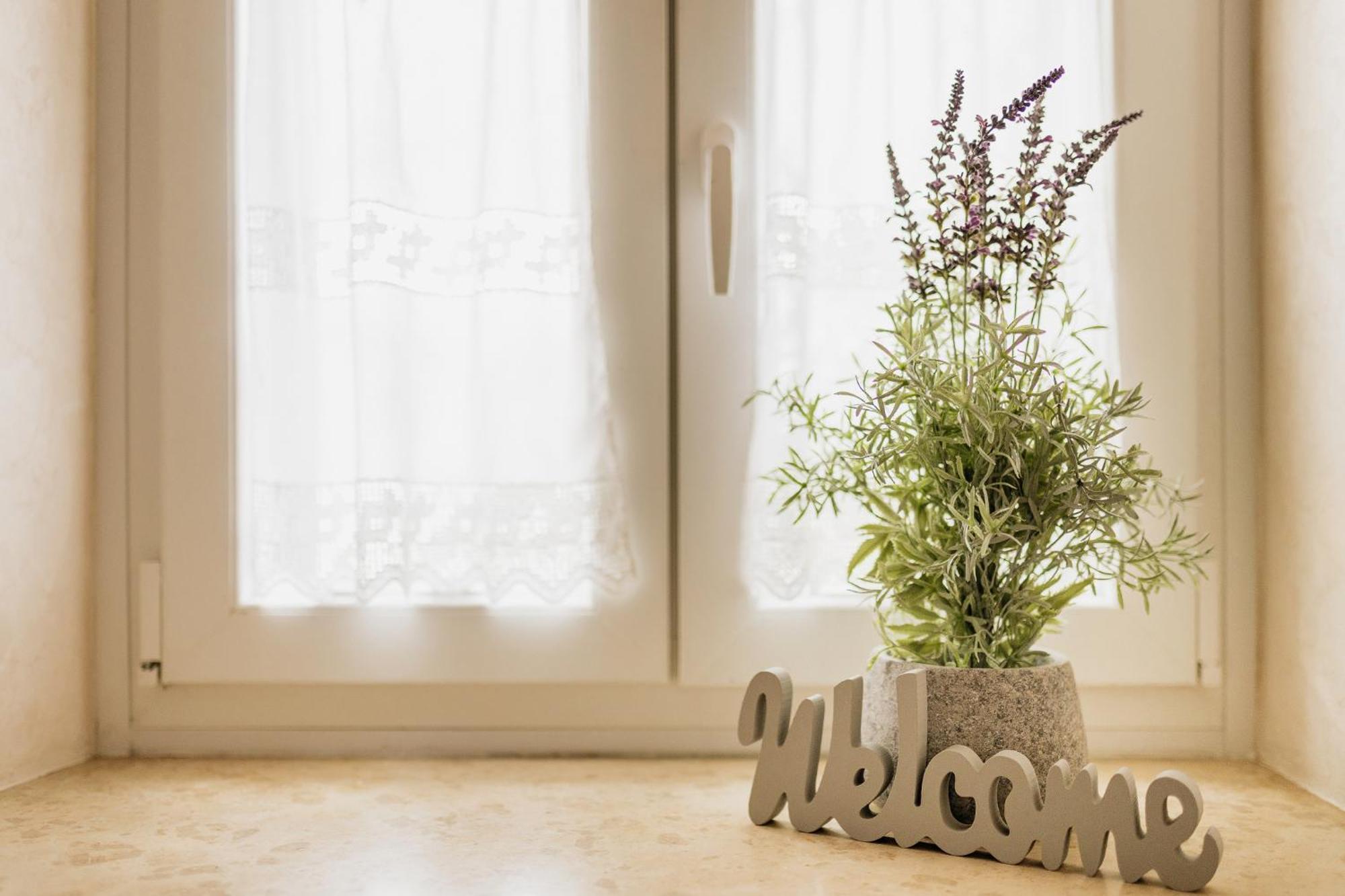 Apartments Mirna Stress Free Babici Luaran gambar